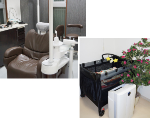 たばた歯科医院