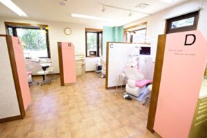 西ばやし歯科のキャプチャ画像