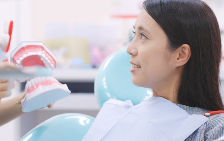 歯の模型と女性