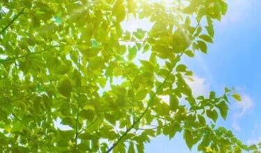 北海道北広島市