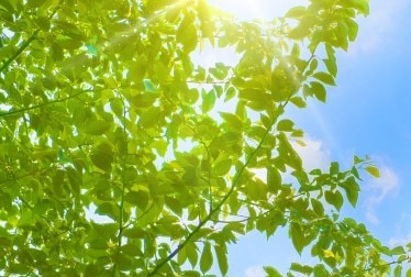 北海道北広島市